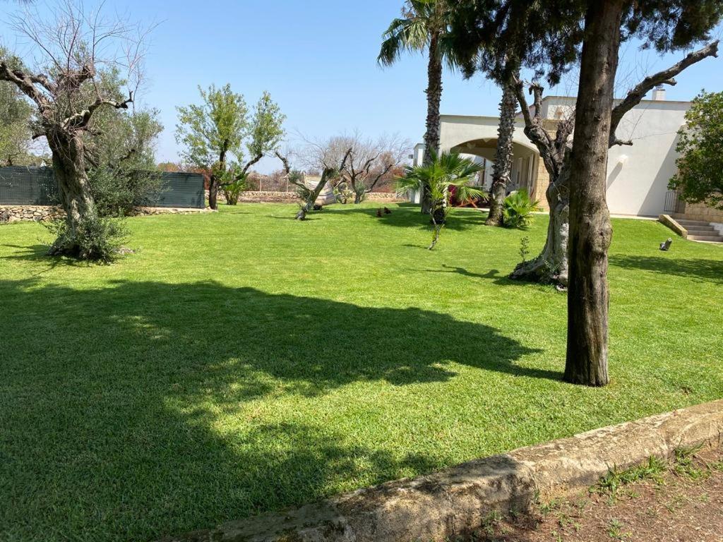 Appartamento Villa Nisapiro' سانيكولا المظهر الخارجي الصورة