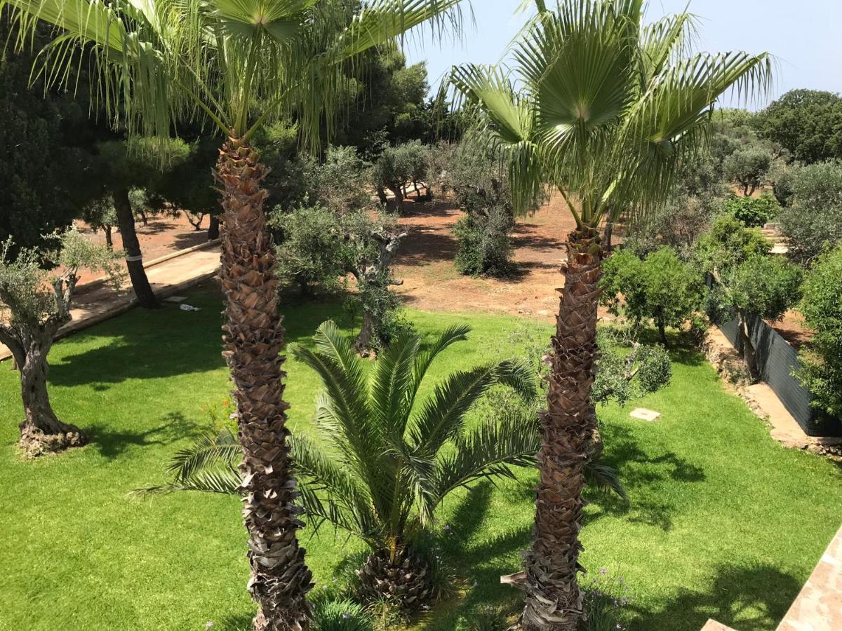 Appartamento Villa Nisapiro' سانيكولا المظهر الخارجي الصورة